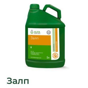 Залп (5л) re-304 фото