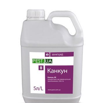 Фунгіцид Канкун (5л) re-247 фото
