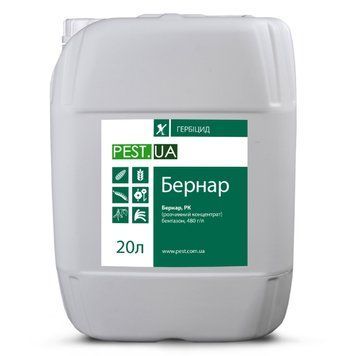 Гербіцид Бернар (20л) re-228 фото