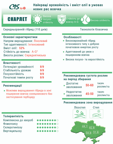 Подсолнечник Скарлет s-50 фото