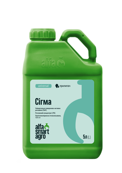 Сигма (5л) re-382 фото